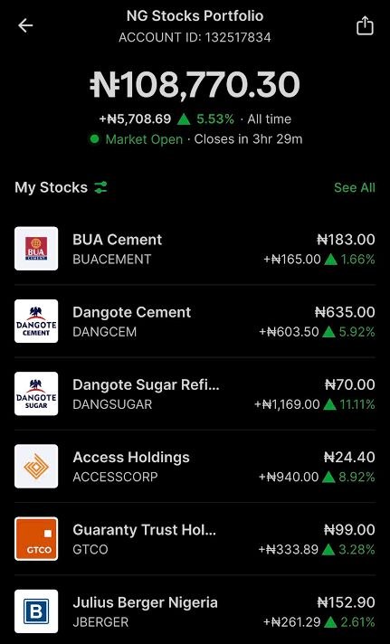 Chukwuemeka Obi portfolio screenshot